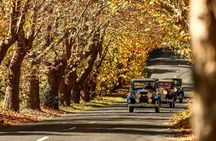 Blue Mountains Vintage Cadillac Tour with Local Guide