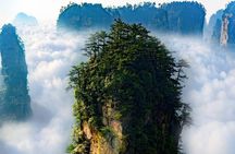 1 "Pandora" Day Trip-Zhangjiajie National Park(Avatar Mountain Scenery)