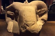 Egyptian Museum of Turin with Museum Guide for groups