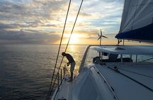 Afternoon Luxury Catamaran Sailing and Charter Cruise from Bridgetown