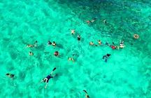 Mangrove tour,Horseback Riding, Snorkeling and beach in Roatan 