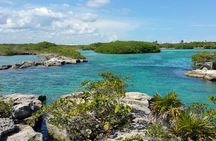 Snorkeling adventure in Yal-Kú lagoon, + Underground Cenote