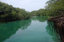 Roatan Mangrove Tunnels Adventure