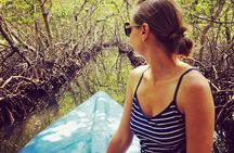 Roatan Mangrove Tunnels Adventure