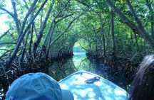 Roatan Mangrove Tunnels Adventure