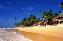 Galle Day Tour from Colombo or Negombo by Private Car , Van with Driver
