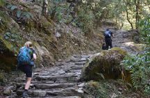 Annapurna Poonhill Trek 