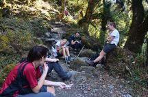 Annapurna Poonhill Trek 