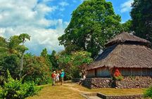 Full Day Trip to Senaru Waterfalls & Tribe Village