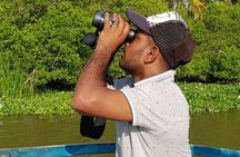 Sri Lankan Tourist Driver with great local )knowledge all over the country! 