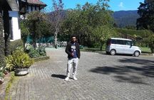 Sri Lankan Tourist Driver with great local )knowledge all over the country! 