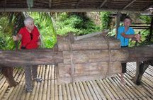 Traditional Bidayuh Village Bamboo Longhouse Tour