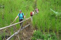 Traditional Bidayuh Village Bamboo Longhouse Tour