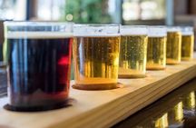Private Brussels Beer Tour with a Local
