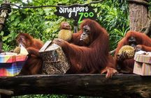 Singapore Zoo & River Wonder Day Ticket & Transfer 
