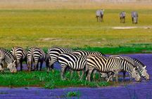 3 Days Amboseli National Park Safari
