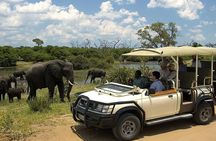 chobe Day trip