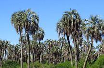 El Palmar National Park Admission Ticket