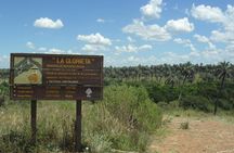 El Palmar National Park Admission Ticket
