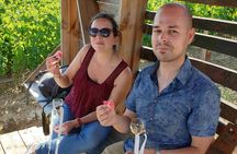 Gourmet walk in the heart of the vineyards with Champagne tasting near Epernay