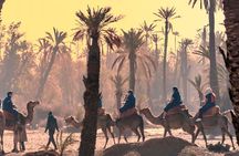 Marrakech Guided Tour From Casablanca With Camel Ride