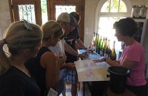 Vineyard cycle tours in and around Chinon, in the Loire Valley
