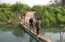 The jungle adventure