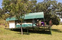 Safari in Pian Upe Game Reserve