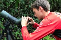 Birding at El Rey. (Marshes,rice fields,canals) Private Birding Tour 
