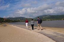 Chia Beaches Tour from Cagliari with van