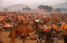 Pushkar Fair Festival