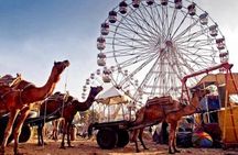 Pushkar Fair Festival