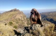 Simien Mountains Trekking Adventure