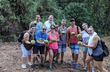 Safari & Waterfalls trails Experience Out the beaten Path. 