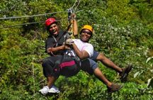 Roatan Shore Excursion: Zip 'n' Dip Canopy Tour
