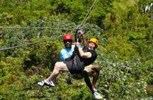 Roatan Shore Excursion: Zip 'n' Dip Canopy Tour