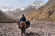 Mount toubkal 2 day Trek 