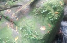 Lost jewel, Tour 1 day Sierra nevada de santa marta. only relics !.