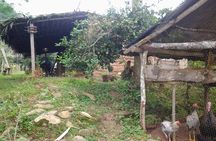 Lost jewel, Tour 1 day Sierra nevada de santa marta. only relics !.