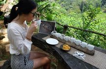 Ubud Tour with Swing, Temple, Monkey Forest, and Waterfall