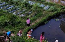 Rice paddies, local villages and handicraft