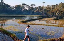 Rice paddies, local villages and handicraft