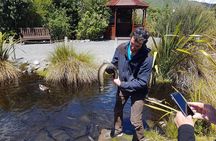 Private Kapiti Coast Full Day Tour