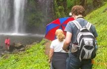 Materuni waterfall and Coffee tour