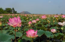 Bangkok to Angkor Wat 2 Days 1 Night tour go by Flight and Take car back