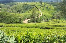 Sri Lankan Tourist Driver with great local )knowledge all over the country! 