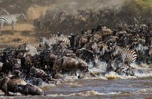 4 Days Masai Mara & L. Nakuru National Park Experience