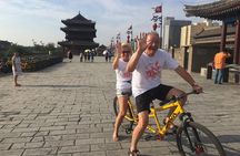 Private Guided Transfer to Terracotta Warriors, City Wall, Small Wild Pagoda