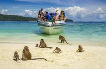 Discover Maya Bay at Dawn: Avoid the Phi Phi Crowds
