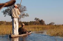 11 Days Safari Tour In Botswana